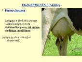 Homeostazę palaikančios vidaus sekrecijos liaukos 7 puslapis