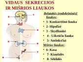 Homeostazę palaikančios vidaus sekrecijos liaukos 8 puslapis