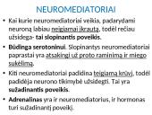 Plačiai apie sinapsę 12 puslapis