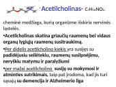 Plačiai apie sinapsę 13 puslapis