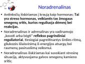 Plačiai apie sinapsę 14 puslapis