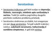 Plačiai apie sinapsę 17 puslapis