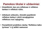 Reflekso lankas. Sąlyginiai ir nesąlyginiai refleksai  2 puslapis