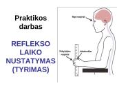 Reflekso lankas. Sąlyginiai ir nesąlyginiai refleksai  18 puslapis