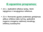 Reflekso lankas. Sąlyginiai ir nesąlyginiai refleksai  3 puslapis