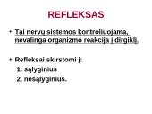 Reflekso lankas. Sąlyginiai ir nesąlyginiai refleksai  4 puslapis