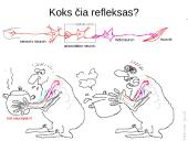 Reflekso lankas. Sąlyginiai ir nesąlyginiai refleksai  6 puslapis