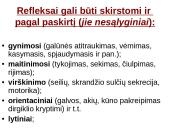 Reflekso lankas. Sąlyginiai ir nesąlyginiai refleksai  7 puslapis