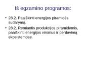 Energijos virsmai. Ekologinės piramidės  2 puslapis