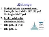 Energijos virsmai. Ekologinės piramidės  17 puslapis