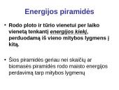 Energijos virsmai. Ekologinės piramidės  6 puslapis