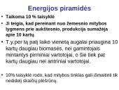 Energijos virsmai. Ekologinės piramidės  9 puslapis