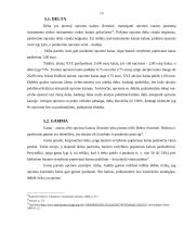 Opcionai 'call' ir 'put' 13 puslapis