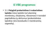 Apie ląstelės sandarą 2 puslapis