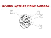 Apie ląstelės sandarą 14 puslapis