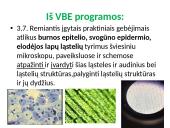 Apie ląstelės sandarą 18 puslapis