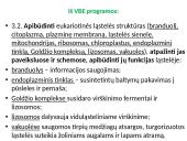 Apie ląstelės sandarą 7 puslapis