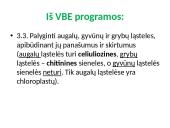 Apie ląstelės sandarą 8 puslapis