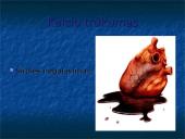 Vitaminai ir mineraliniai elementai 13 puslapis