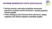 Bendrijų kaita 10 puslapis