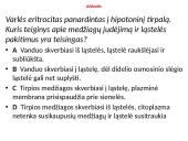 Plazminė membrana ir pernaša 12 puslapis