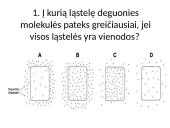 Plazminė membrana ir pernaša 14 puslapis