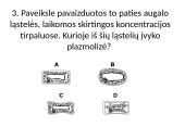 Plazminė membrana ir pernaša 15 puslapis