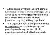 Plazminė membrana ir pernaša 5 puslapis