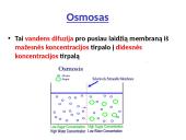 Plazminė membrana ir pernaša 8 puslapis