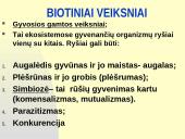 Rūšių tarpusavio santykiai  11 puslapis