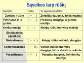 Rūšių tarpusavio santykiai  12 puslapis