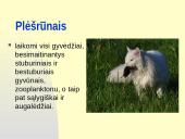 Rūšių tarpusavio santykiai  13 puslapis