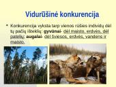 Rūšių tarpusavio santykiai  15 puslapis