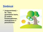 Rūšių tarpusavio santykiai  17 puslapis