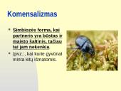 Rūšių tarpusavio santykiai  18 puslapis