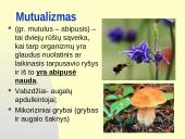 Rūšių tarpusavio santykiai  19 puslapis