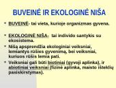 Rūšių tarpusavio santykiai  3 puslapis