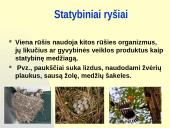 Rūšių tarpusavio santykiai  8 puslapis