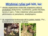 Rūšių tarpusavio santykiai  9 puslapis