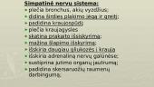 Periferinė ir centrinė nervų sistema 8 puslapis