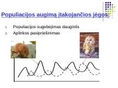 Populiacija ir veiksniai, lemiantys jos dydžio kitimą 7 puslapis