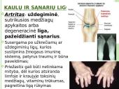 Atramos ir judėjimo organų sistema 12 puslapis