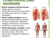 Atramos ir judėjimo organų sistema 13 puslapis