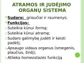 Atramos ir judėjimo organų sistema 3 puslapis