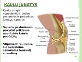 Atramos ir judėjimo organų sistema 8 puslapis
