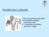 Osmoreguliacija (inkstų vaidmuo reguliuojant osmosą)  2 puslapis