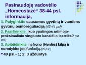 Osmoreguliacija (inkstų vaidmuo reguliuojant osmosą)  11 puslapis