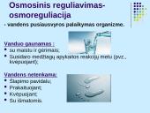 Osmoreguliacija (inkstų vaidmuo reguliuojant osmosą)  7 puslapis