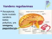 Osmoreguliacija (inkstų vaidmuo reguliuojant osmosą)  8 puslapis