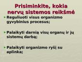 Galvos smegenys - teorija 18 puslapis